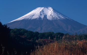 静岡採水地