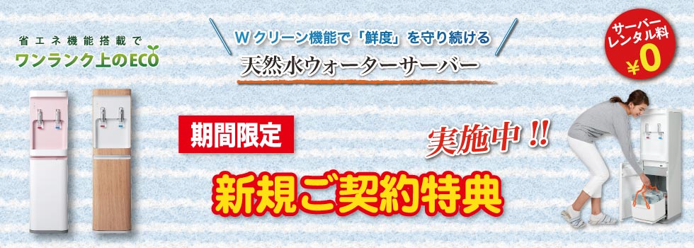 キャンペーン情報