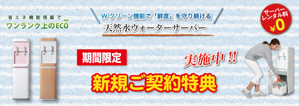 キャンペーン情報